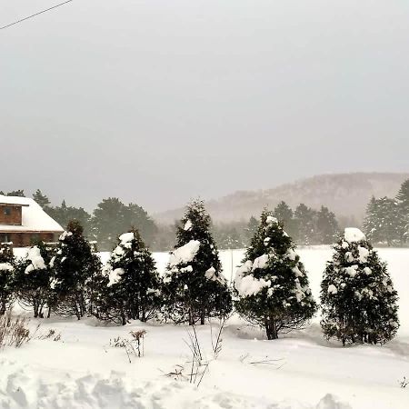 Stunning Log Cabin Getaway At The Hannu Haus Ironwood Dış mekan fotoğraf