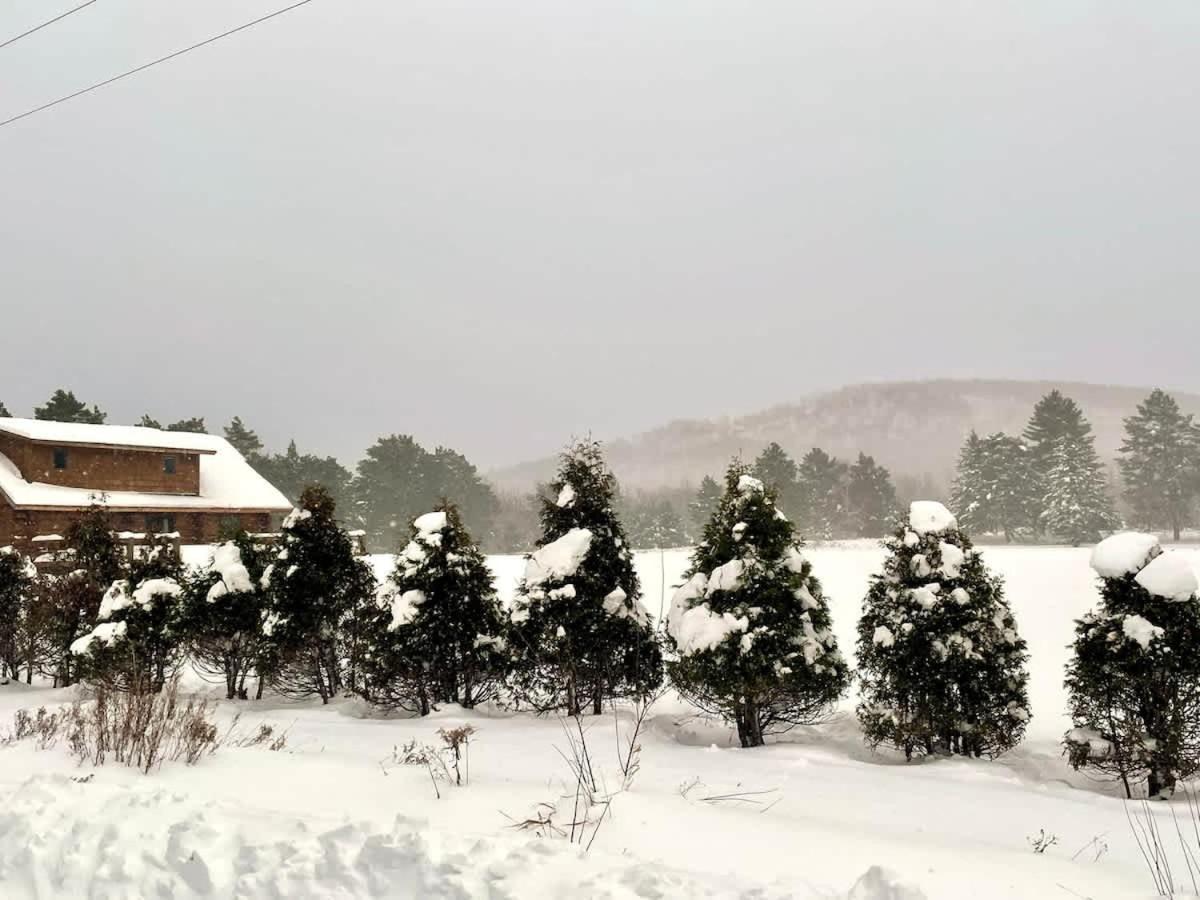 Stunning Log Cabin Getaway At The Hannu Haus Ironwood Dış mekan fotoğraf